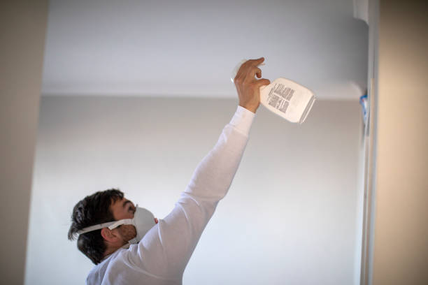 Best Toxic Mold Removal  in Fallbrook, CA