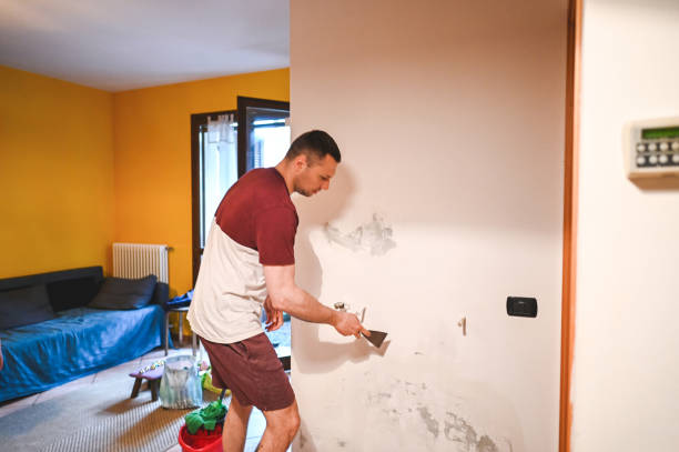 Best Home Mold Removal  in Fallbrook, CA